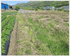  2025Ÿ��20548  ����