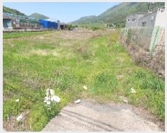  2025Ÿ��20548  ����