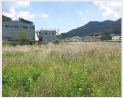  2025Ÿ��20548  ����