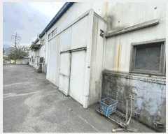  2025Ÿ20555 泲 Ծȱ ĥ  219      