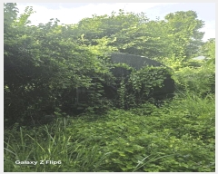  2025Ÿ��20663 �泲 â���� ���������� ������ 761      ����(��1)���