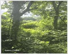  2025Ÿ��20663 �泲 â���� ���������� ������ 761      ����(��1)���