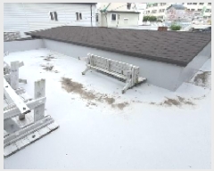  2025Ÿ��20709 �泲 â���� ����ȸ���� ������ 163-74      ����(��)���