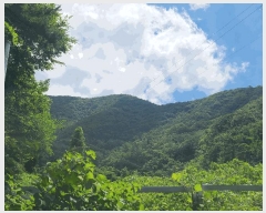  2025Ÿ��20728 �泲 â���� ���������� ���ϸ� �߰ ��75     ����(�Ӿ�)���