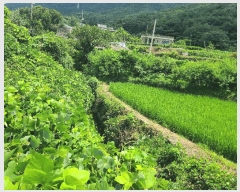  2025Ÿ��20728 �泲 â���� ���������� ���ϸ� �߰ ��75     ����(�Ӿ�)���