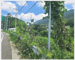  2025Ÿ��20728 �泲 â���� ���������� ���ϸ� �߰ ��75     ����(�Ӿ�)���