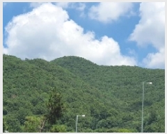  2025Ÿ��20728 �泲 â���� ���������� ���ϸ� �߰ ��75     ����(�Ӿ�)���