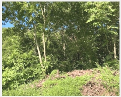  2025Ÿ��20734 �泲 â���� ����ȸ���� ������ �ȼ��� 269     ����(��1)���