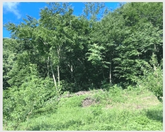  2025Ÿ��20734 �泲 â���� ����ȸ���� ������ �ȼ��� 269     ����(��1)���