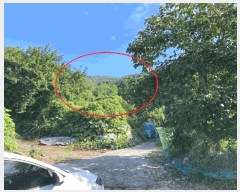  2025Ÿ��20734 �泲 â���� ����ȸ���� ������ �ȼ��� 269     ����(��1)���