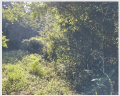  2025Ÿ��20734 �泲 â���� ����ȸ���� ������ �ȼ��� 269     ����(��1)���