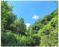  2025Ÿ��20734 �泲 â���� ����ȸ���� ������ �ȼ��� 269     ����(��1)���