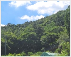  2025Ÿ��20734 �泲 â���� ����ȸ���� ������ �ȼ��� 269     ����(��1)���