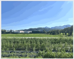  2025Ÿ��20753  ������