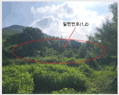  2025Ÿ��20825 �泲 â���� ���������� ������ ������ 259     ����(��1)���