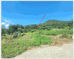  2025Ÿ��20825 �泲 â���� ���������� ������ ������ 259     ����(��1)���