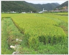  2025Ÿ��20825 �泲 â���� ���������� ������ ������ 259     ����(��1)���