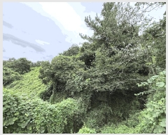  2025Ÿ��20840 �泲 �Ծȱ� ���� ���̸� 301      ����(��1)���