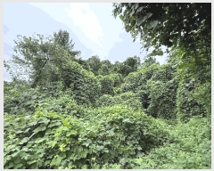  2025Ÿ��20840 �泲 �Ծȱ� ���� ���̸� 301      ����(��1)���