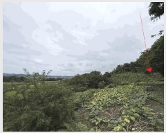  2025Ÿ��20840 �泲 �Ծȱ� ���� ���̸� 301      ����(��1)���