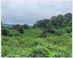  2025Ÿ��20840 �泲 �Ծȱ� ���� ���̸� 301      ����(��1)���