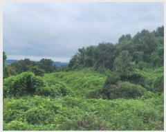  2025Ÿ��20840 �泲 �Ծȱ� ���� ���̸� 301      ����(��1)���