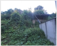  2025Ÿ��20860 �泲 �Ծȱ� ĥ���� �̷渮 1201      ����(����)���