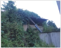  2025Ÿ��20860 �泲 �Ծȱ� ĥ���� �̷渮 1201      ����(����)���