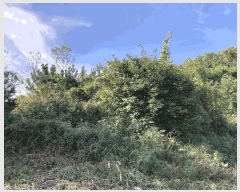  2025Ÿ��20881 �泲 â���� ���������� ������ �ű⸮ 84     ����(��1)���