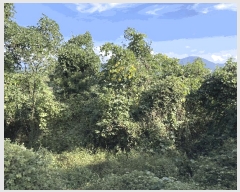  2025Ÿ��20881 �泲 â���� ���������� ������ �ű⸮ 84     ����(��1)���