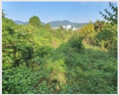  2025Ÿ��20881 �泲 â���� ���������� ������ �ű⸮ 84     ����(��1)���