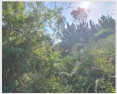  2025Ÿ��20881 �泲 â���� ���������� ������ �ű⸮ 84     ����(��1)���