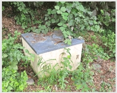  2025Ÿ��20886  �����ü����