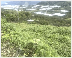  2025Ÿ��20896 �泲 �Ծȱ� ĥ�ϸ� �̷ɸ� 860-2      ����(�Ӿ�)���