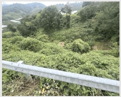  2025Ÿ��20896 �泲 �Ծȱ� ĥ�ϸ� �̷ɸ� 860-2      ����(�Ӿ�)���