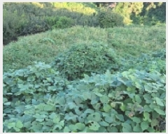  2025Ÿ��20896 �泲 �Ծȱ� ĥ�ϸ� �̷ɸ� 860-2      ����(�Ӿ�)���