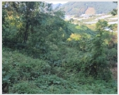  2025Ÿ��20896 �泲 �Ծȱ� ĥ�ϸ� �̷ɸ� 860-2      ����(�Ӿ�)���