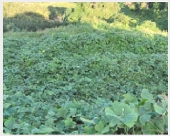  2025Ÿ��20896 �泲 �Ծȱ� ĥ�ϸ� �̷ɸ� 860-2      ����(�Ӿ�)���