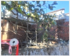  2025Ÿ��20901  ���ð��