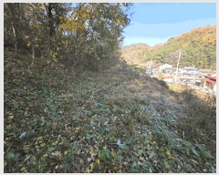  2025Ÿ��20985 �泲 �Ծȱ� ĥ���� ��� 525      ����(��)���