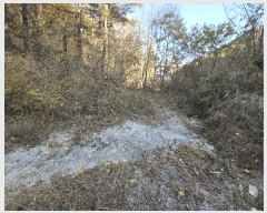  2025Ÿ��20985 �泲 �Ծȱ� ĥ���� ��� 525      ����(��)���