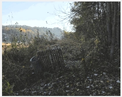  2025Ÿ��20985 �泲 �Ծȱ� ĥ���� ��� 525      ����(��)���