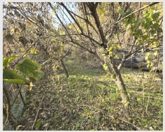  2025Ÿ��20985 �泲 �Ծȱ� ĥ���� ��� 525      ����(��)���