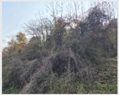  2025Ÿ��20985 �泲 �Ծȱ� ĥ���� ��� 525      ����(��)���