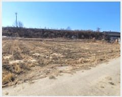  2025Ÿ��163 �泲 �Ծȱ� ������ ���긮 712-4      ����(��)���