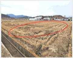  2025Ÿ168 泲 Ծȱ  긮 316-12      ()