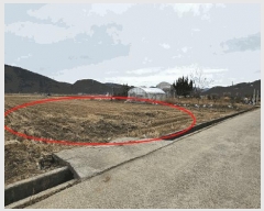  2025Ÿ168 泲 Ծȱ  긮 316-12      ()