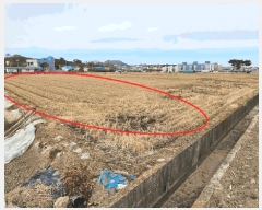  2025Ÿ168 泲 Ծȱ  긮 316-12      ()