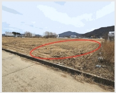  2025Ÿ168 泲 Ծȱ  긮 316-12      ()