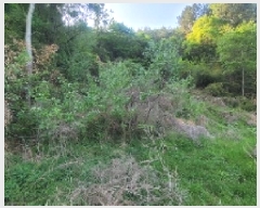  2025Ÿ��196  ����